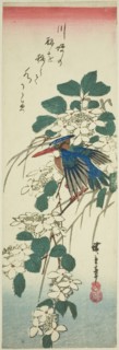 Kingfisher and viburnum, 1840s.