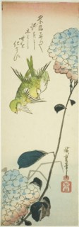 Green birds and hydrangeas, 1830s.