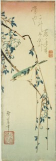 Bush warbler on plum branch, 1830s.