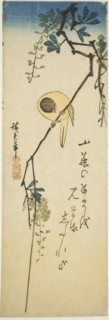Bird on silky wisteria, 1830s-1840s.