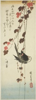 White-headed bird and ivy, mid-1830s.