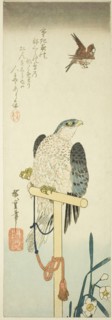 Falcon, sparrow, and narcissus, 1830s.