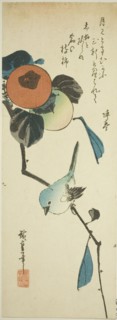 Japanese white-eye and persimmons, 1830s.