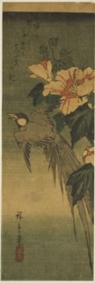 Long-tailed bird and hibiscus, 1830s-1840s.