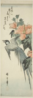 Long-tailed bird and hibiscus, 1830s-1840s.