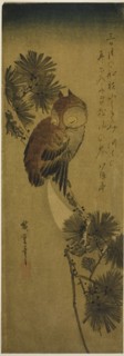 Small-horned owl, pine, and crescent moon, 1830s.
