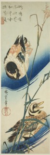 Two Ducks Swimming Among Reeds, c. 1834/39.