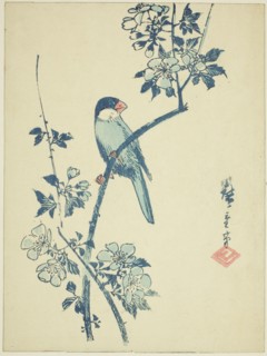 Java sparrow on cherry branch, c. 1830/44.