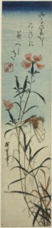 Butterfly and pinks, mid-1840s.