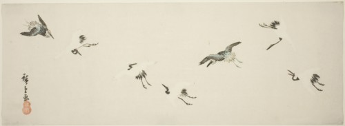 Cranes in flight, n.d.