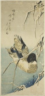 Ducks in snow, 1830s.