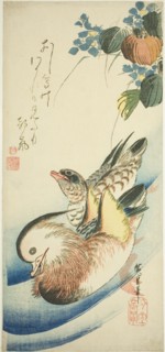 Mandarin ducks, 1830s.
