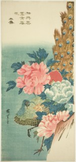 Peacock and peonies, 1830s.