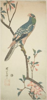 Parrot on a blossoming branch, 1830s.