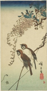 Sparrows and wisteria, n.d.