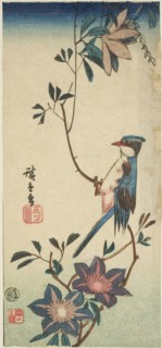 Blue bird on clematis, n.d.