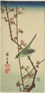Warbler on plum branch, n.d.