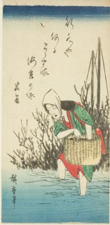 Woman gathering seaweed, n.d.