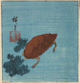 Turtle, c. 1840s.