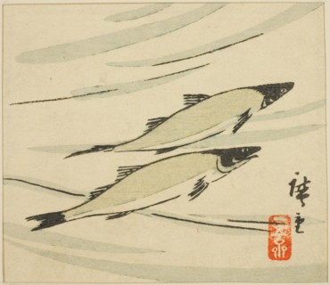 Trout, section of a harimaze sheet, 1858.