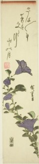Chinese Bell Flowers, c. 1830s.