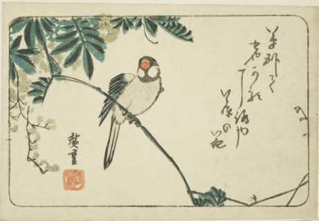 Sparrow and wisteria, n.d.