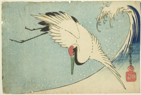 Crane flying over wave, n.d.