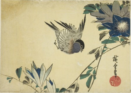 Bullfinch and clematis, 1830s.