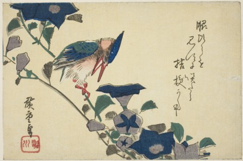 Kingfisher and bellflowers, n.d.