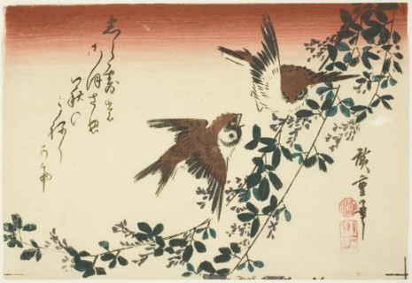 Sparrows and bush clover, 1830s.