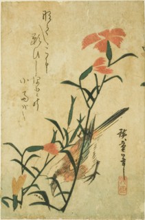 Bird and wild carnation, c. 1830s.