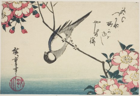Great tit on cherry blossom branch, 1830s.
