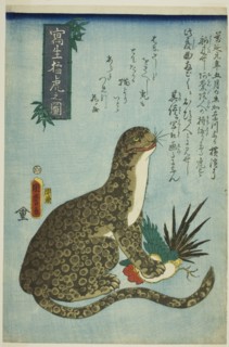 Picture of a Ferocious Tiger Drawn from Life (Shasei moko no zu), 1860. [Feline with spots rather than stripes, holding a rooster beneath its paw].