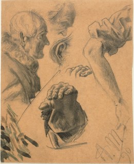 Sketches of Hands, Arms, and Heads, 1890.