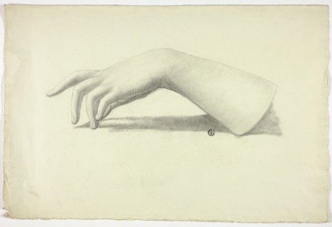 Left Forearm and Hand, n.d.