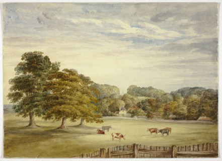 Six Cows Grazing before Country House, n.d.