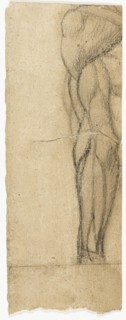 Studies of Nudes, n.d.