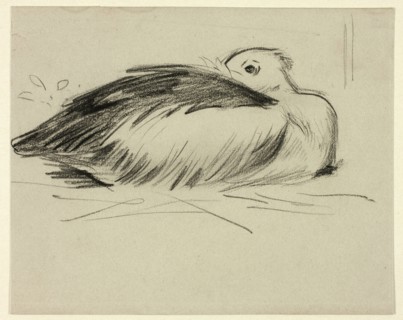 Sketch of Nesting Stork, n.d.