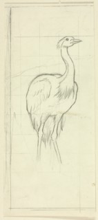 Standing Bird, n.d.
