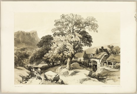 Ash and Oak, from The Park and the Forest, 1841.