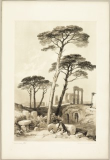 Stone Pines, from The Park and the Forest, 1841.