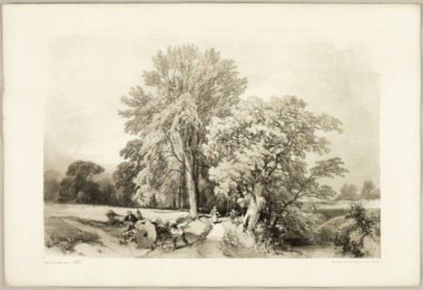 Abele and Oak, from The Park and the Forest, 1841.