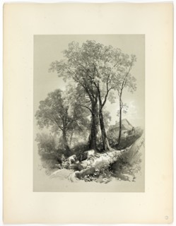 Shipley Bridge, Devon, from Picturesque Selections, 1859.