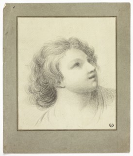 Upturned Head of Youth, n.d.