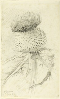 St. Cergues, 1882.