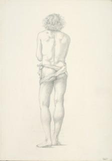 Back View of Standing Male Nude, c. 1873-77.