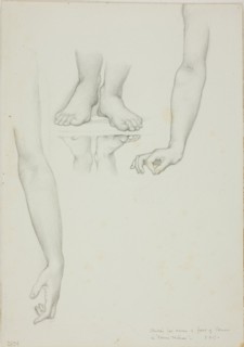 Study for Mirror of Venus: Arms and Feet of Venus, c. 1873-77.