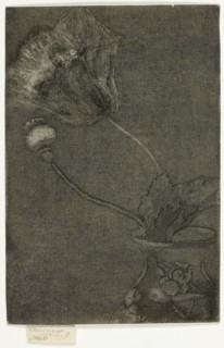 Poppy in a Vase, 1890-95.