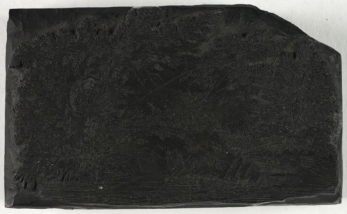 Woodblock for Man Fishing Under a Tree with Waterfall, n.d.