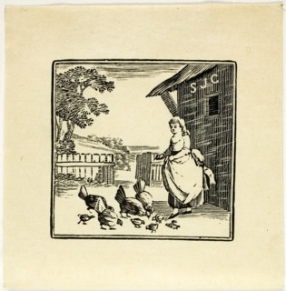 Book Illustration, n.d.